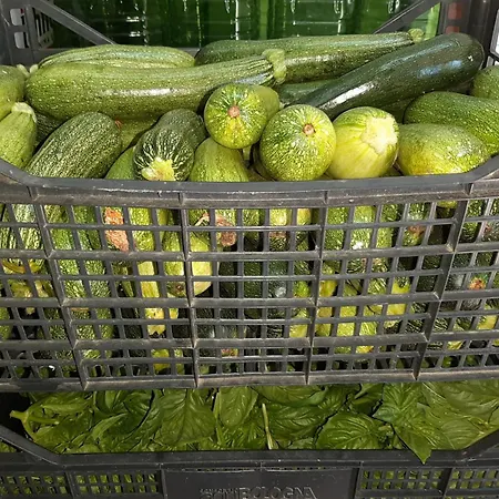 Çiftlik konaklama Agrisole *