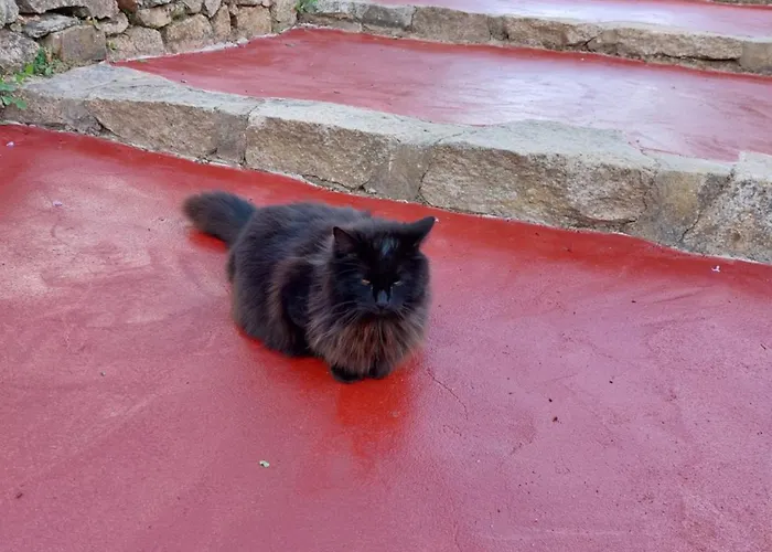 Agroturismo Agrisole