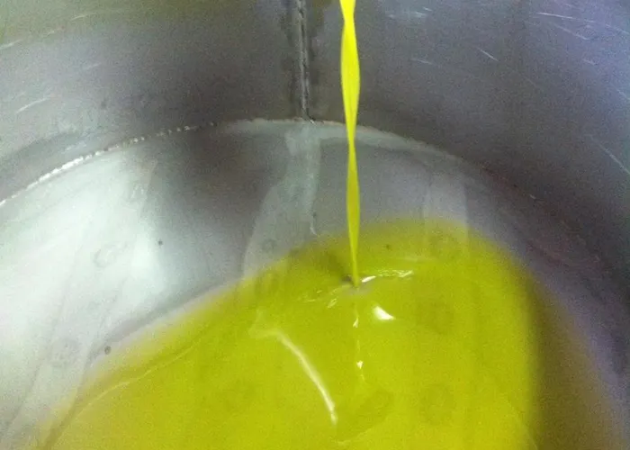 Agrisole ファームステイ